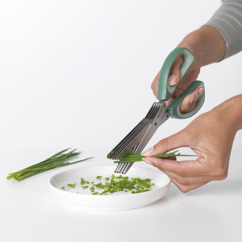 Ciseaux et outil de nettoyage de saveur et d'herbes de Brabantia