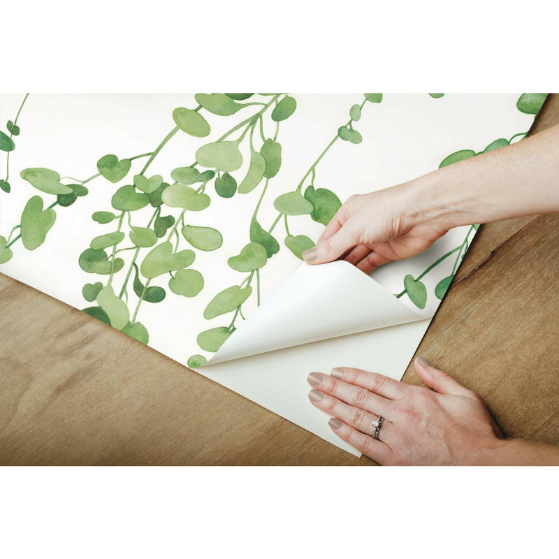 Rouleau de papier peint adhésif Coto, Vert