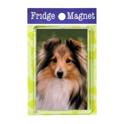 Fridge Magnet