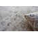 Cambridge Oriental Area Rug
