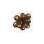 Oviferum Succulent Wall Art, Imperial Bronze