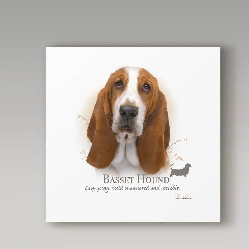Basset hound-impression d’art graphique sur toile tendue, H 14 po x l 14 po x P 2 po
