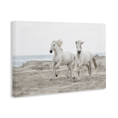 Beach Running Horses Canvas, design by Danita Delimont
