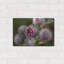 «Autumn 09» par Gordon Semmens-359366041