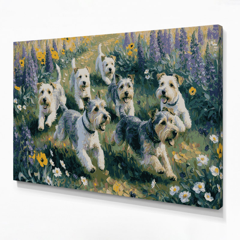 «Dogs Cesky Terrier», art mural sur toile grise, H 12 po x l 18 po