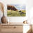 Brampt Border Collie And Cow-107707387
