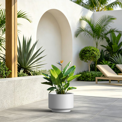 Grand pot / jardinière rond en béton blanc l 12,5 po x H 9 po avec trou de drainage pour l'intérieur et l'extérieur