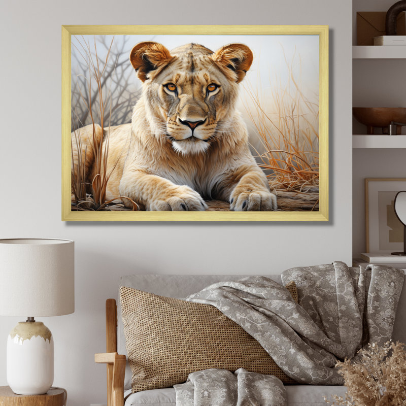 Africa Lioness Power I On Canvas Print, 34" H x 44" W x 1.5" D, Gold Single Picture Framed