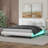 Platform Bed