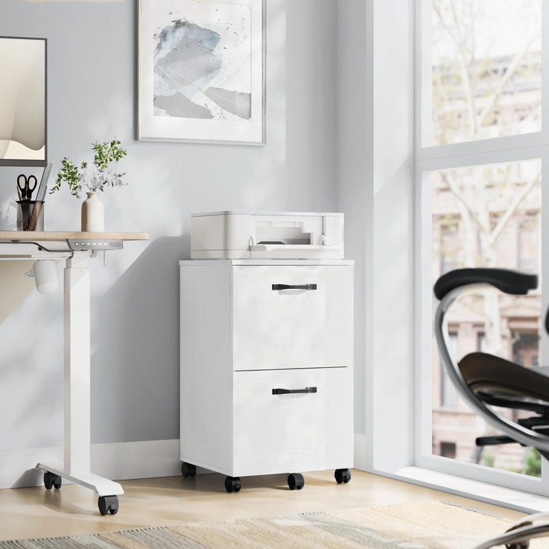 Cambrie 16.7" W 2-Drawer Mobile Vertical Filing Cabinet, White