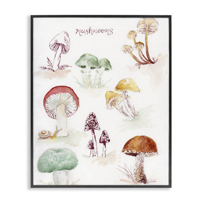 Types de champignons, estampe numérique encadrée par Melissa Hyatt