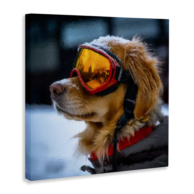 Toile de ski pour chien, conception de Sean Parnell, H 17 po x l 17 po