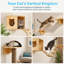 Cat Wall Shelves Cat Perch
