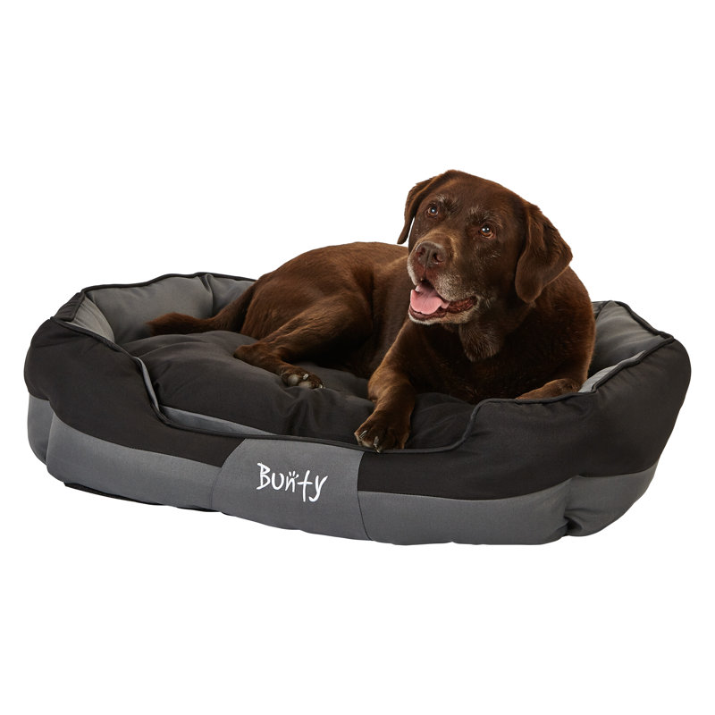 Levesque Polyester Pet Bed, 25cm H x 90cm W x 70cm D, Black