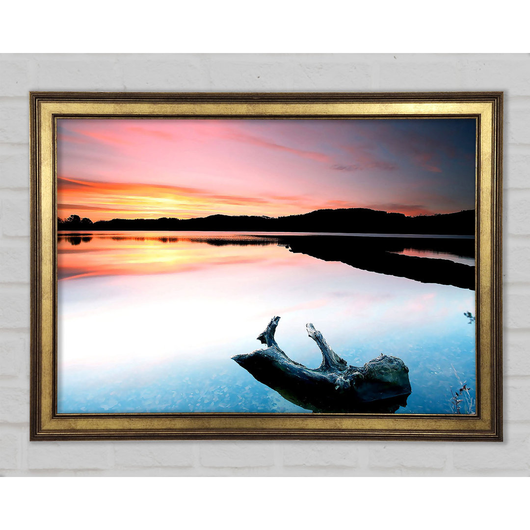 Gerahmtes Poster Driftwood In The Tranquil Ocean