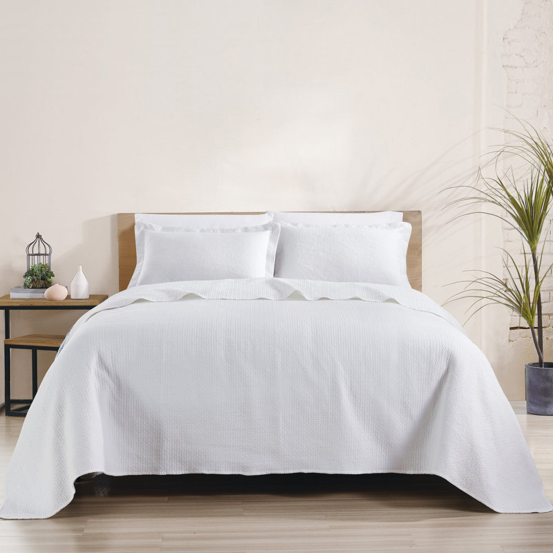Quilt, Twin Quilt + 1 Standard Sham