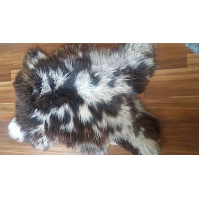 Brown/White Area Rug