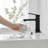 Single-handle Bathroom Faucet with Drain Assembly-74880326-79111997