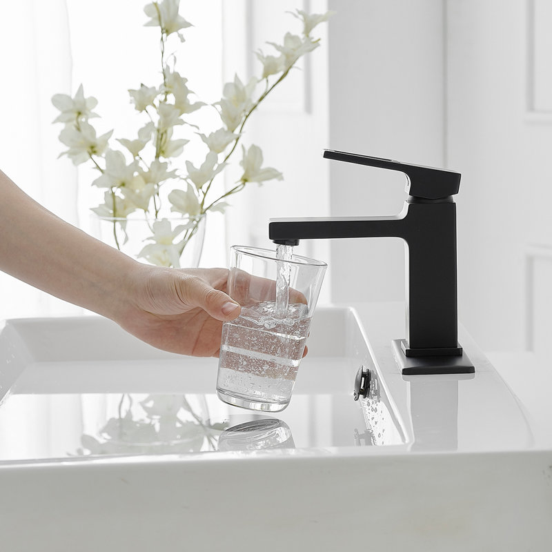 Matte Black Single-Handle Bathroom Faucet with Drain Assembly
