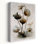 Contemporary Art Delicate Elegant Ethereal Flower Nature Art
