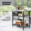 Grill Cart