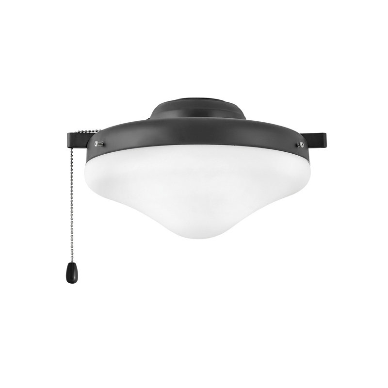 Ensemble d'éclairage de ventilateur de plafond en verre, Noir mat