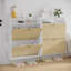 16 Pair Shoe Storage Cabinet