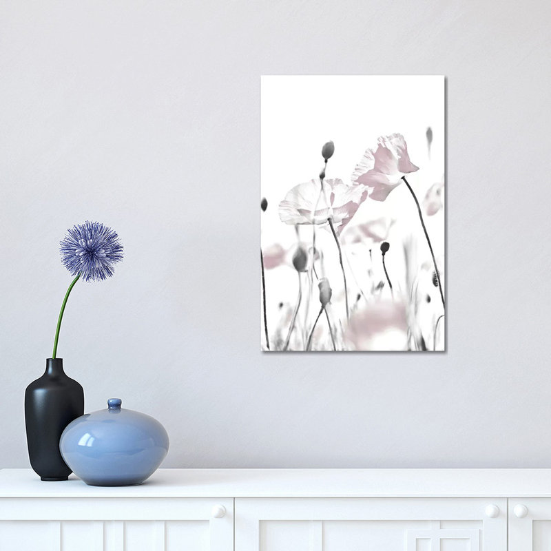 Poppy White I 1 Piece Wrapped Canvas Painting, 30.48 cm H x 45.72 cm W