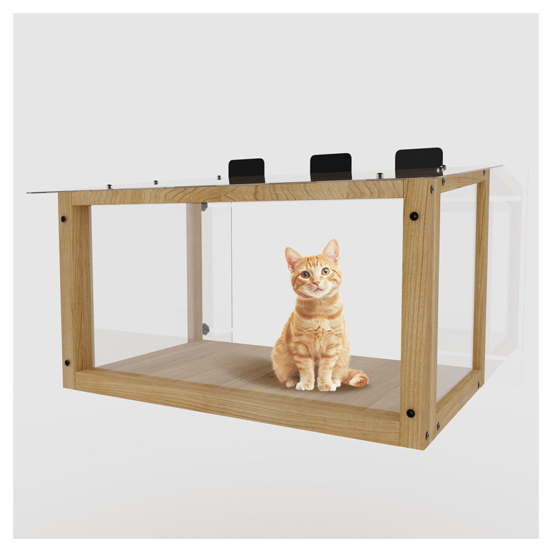 Fenêtre d'extérieur imperméable pour chats - Enceinte en bois massif et acrylique avec vue panoramique