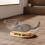 Lit pour chat Space Capsule