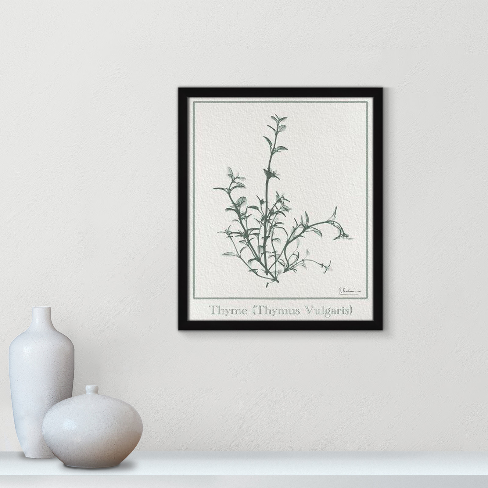 Jeanette "Thymus Vulgaris" Print, 19" H x 16" W x 1.25" D, Satin Black Framed Paper