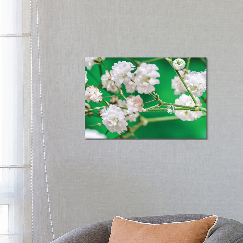 Cherry Tree Blossom by Glauco Meneghelli - Wrapped Canvas Print