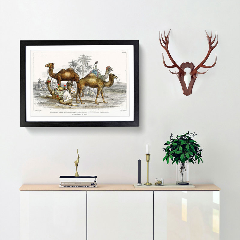 Camels by Oliver Goldsmith - Picture Frame Painting Print, 27cm H x 36cm W x 2cm D, Black Framed