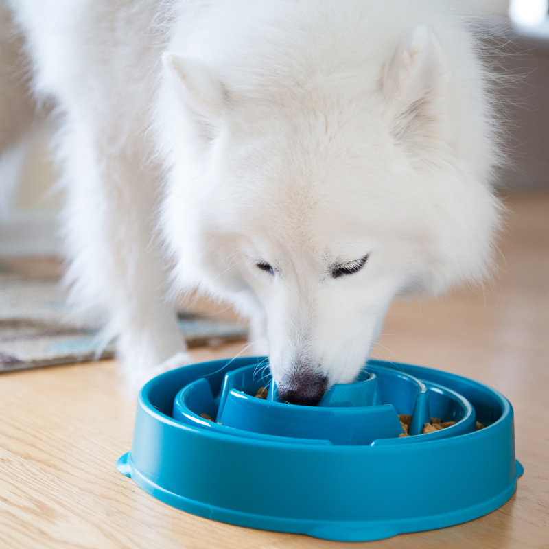 Outward Hound Fun Feeder Slow Bowl, Slow Feeder Dog Bowl, Medium (2.65"), Turquoise