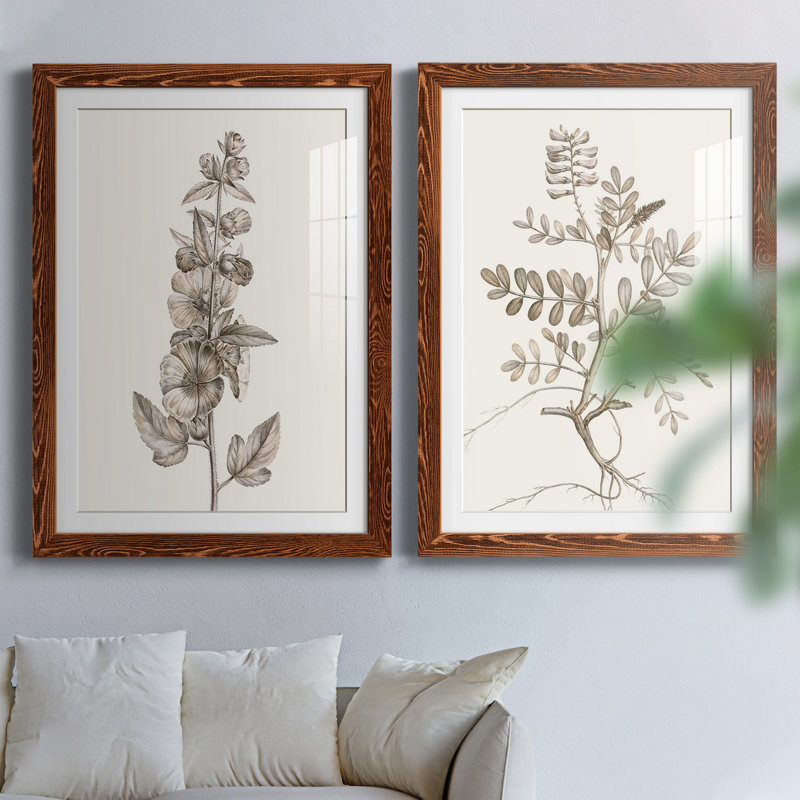 «Neutral Botanical Study», reproduction encadrée prête à être accrochée, Papier avec cadre érable, Blanc