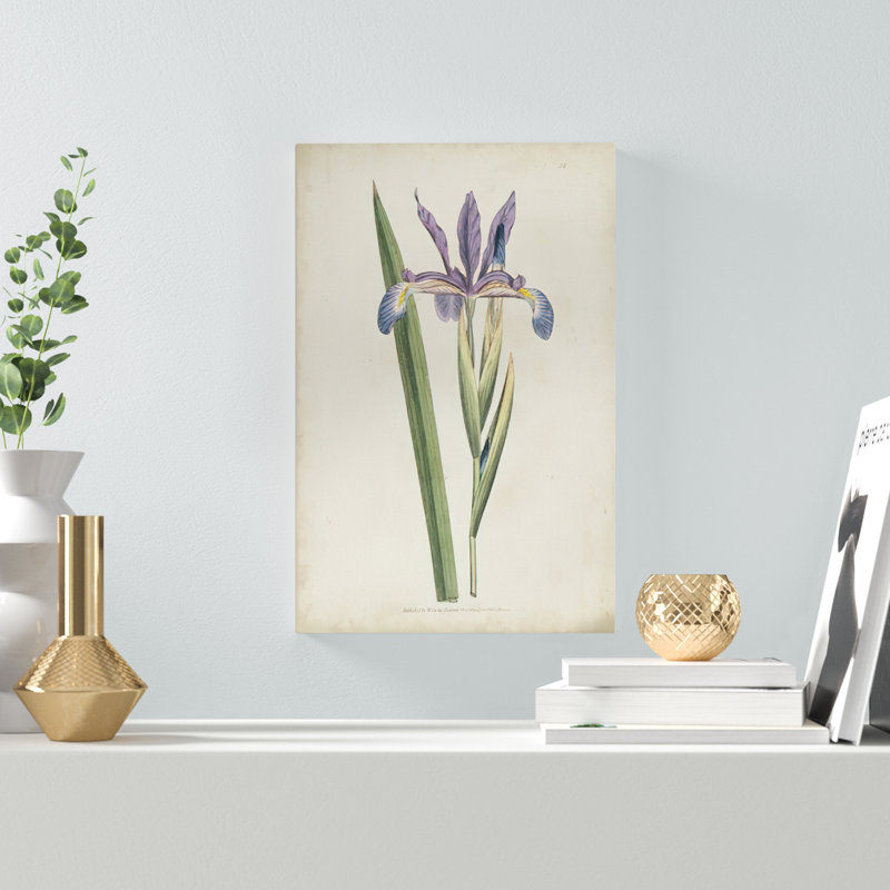 Lavender Curtis Botanicals III - Painting Print, 30cm H x 20cm W, Wrapped Canvas