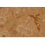 Dorr Oriental Handmade Hand-Knotted Rectangle 8'11" x 12' Wool in Beige