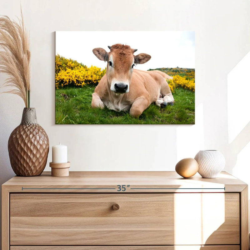 Adorable Aubrac Cow, 16" H x 24" W