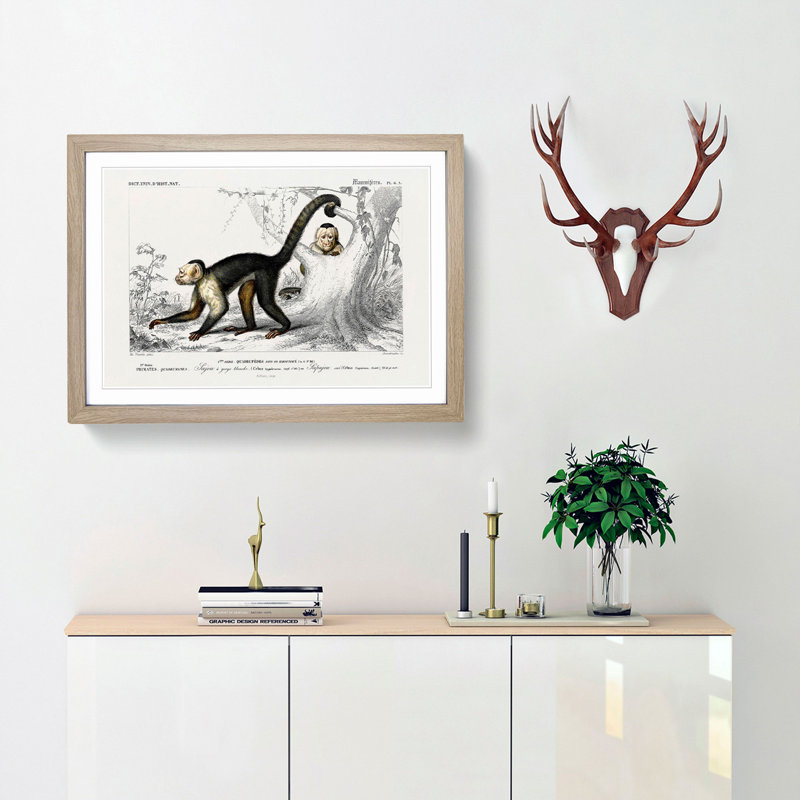 Capuchin Monkeys by Charles d'Orbigny - Picture Frame Painting Print, Oak Framed, 27cm H x 36cm W x 2cm D