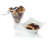 Nong Stainless Steel Teaspoon