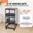 38.7'' H x 23'' W AV Cart