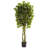 Ficus Artificial Tree