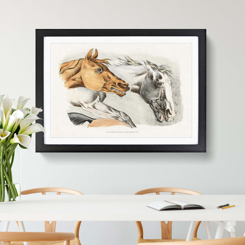Horse Illustrations by Henry Alken - Framed Print, Black Framed, 27cm H x 36cm W x 2cm D