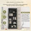 Suite bibliothèque avec bande lumineuse, ensemble de bibliothèque décorative à 5 niveaux avec tablettes réglables, ensemble de tablettes de rangement autoportantes