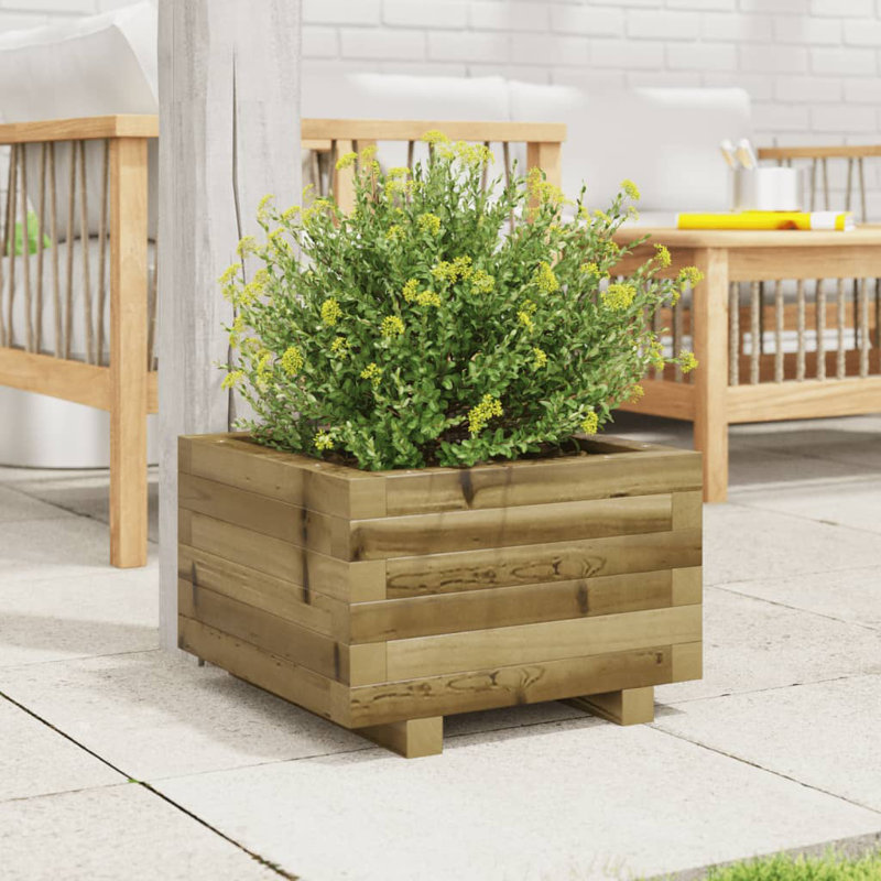 Bhavika Planter Box, 10.43" H x 15.75" W x 15.75" D, Impregnated 