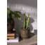 Tyron Ceramic Pot Planter-86761176-86761177