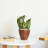 2-Pack 10 in. Plastic Self-watering Planter Pot-236216314