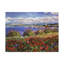 Reproduction d’art sur toile tendue « Blooming Aloe Pacific Grove » par David Lloyd-1380729393