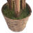 60" Artificial Palm Tree in Planter Set-1621122891