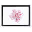 Striking White & Pink Carnation - Picture Frame Graphic Art-56706217-56706220